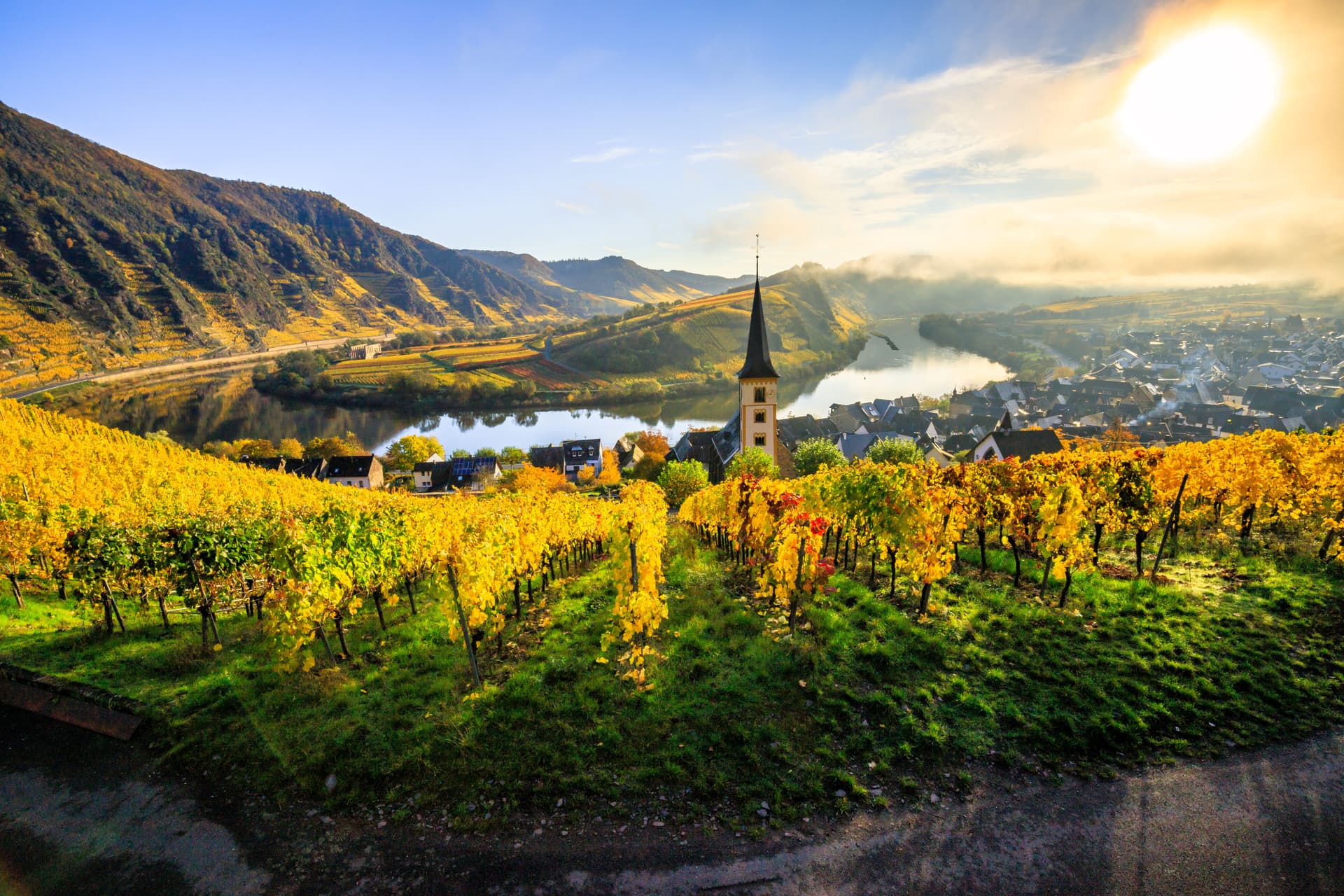 Vineyards with bright yellow autumn leaves overlooking a river and small town with a church spire, Moselle.