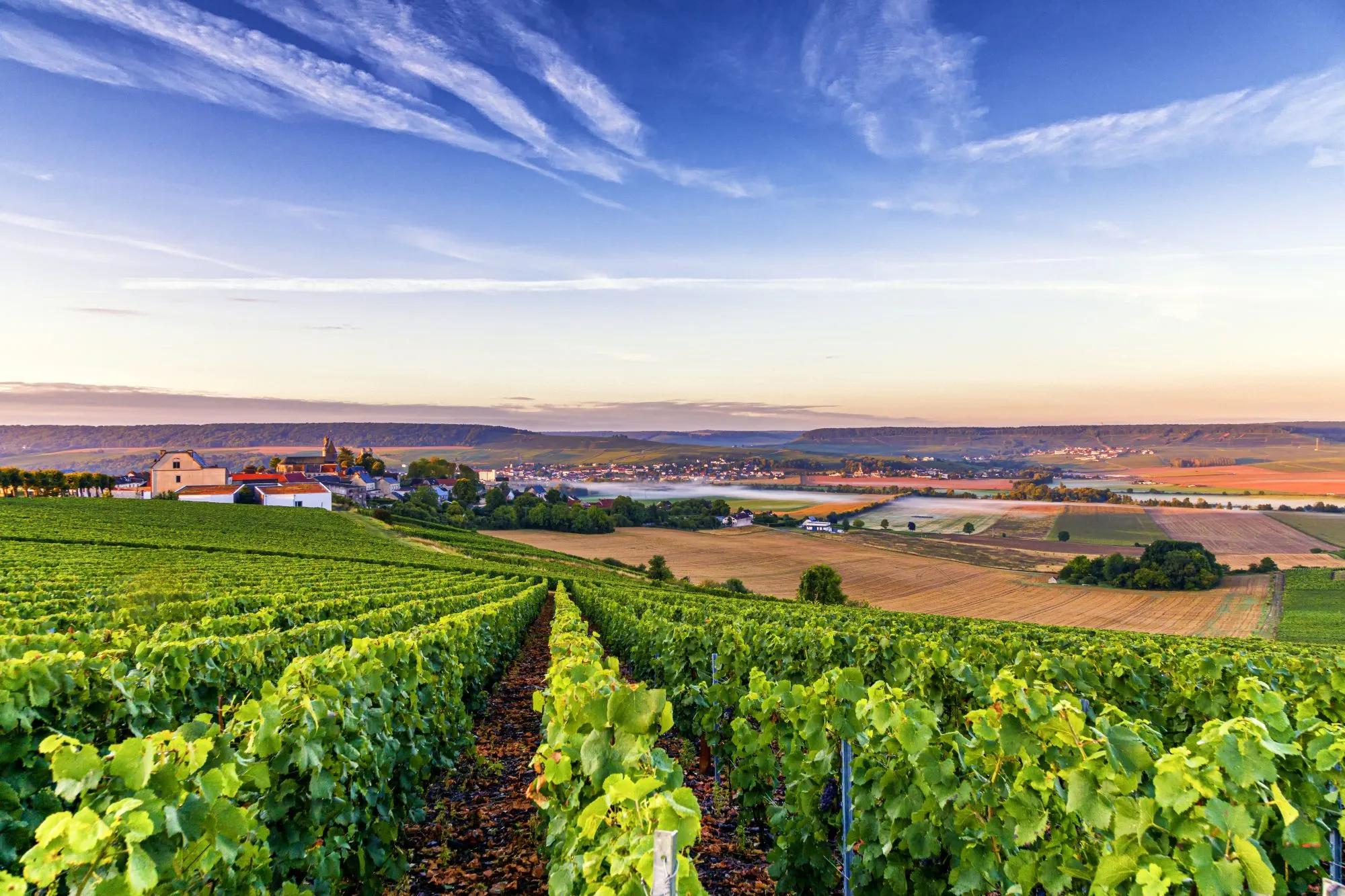 Champagne Cycling Holidays