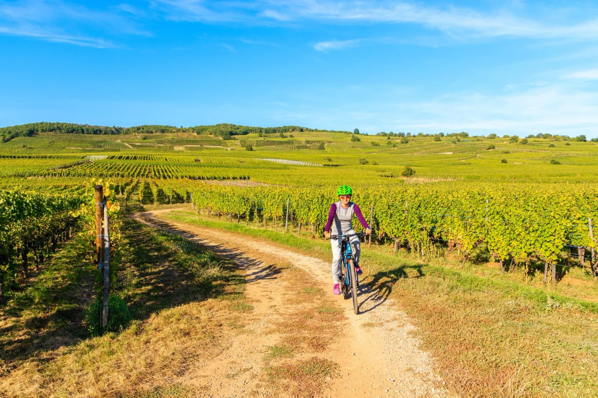Woman cycling on dirt path through rolling green vineyards under a blue sky