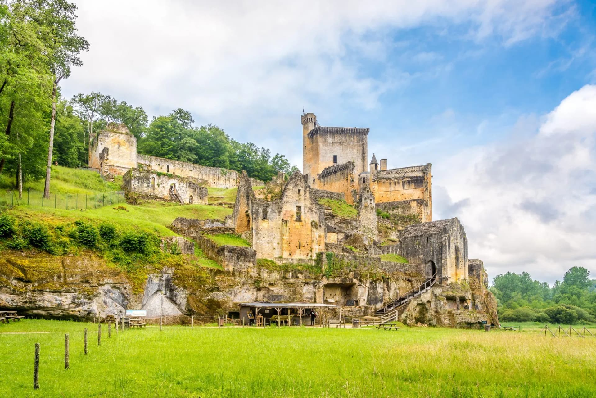 Ruins of Les Eyzies castle built into a cliff face above a green meadow under a cloudy sky.