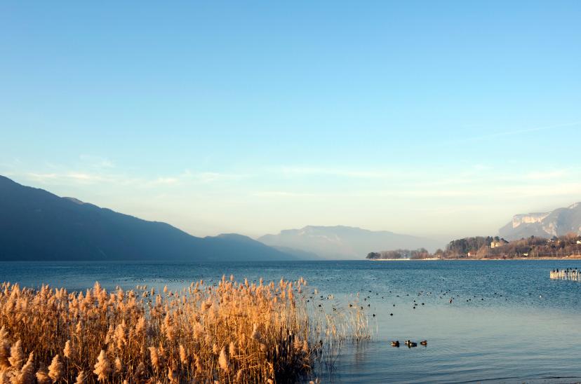 Lake Bourget image 1