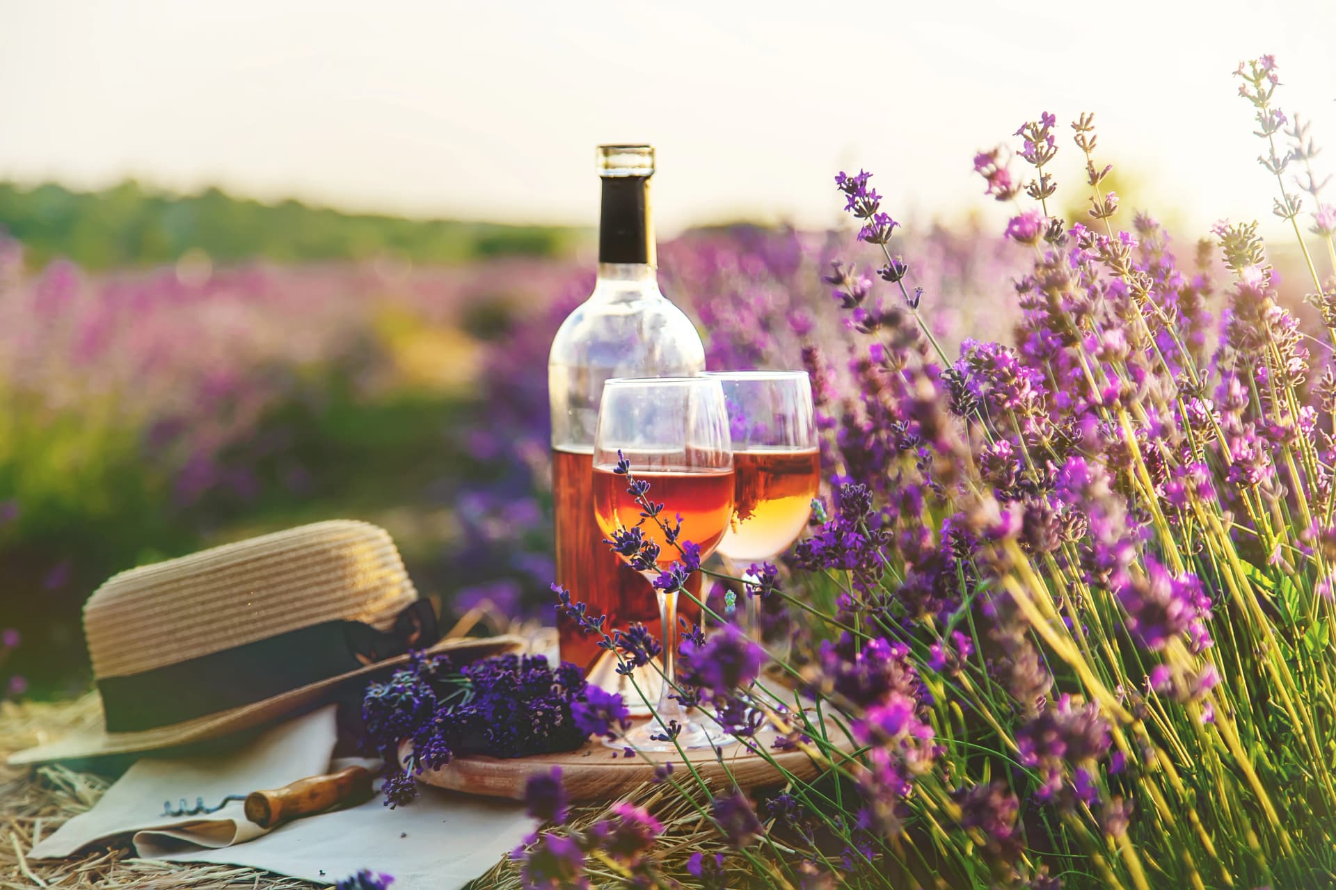 Wine in glasses. Picnic in the lavender field. 