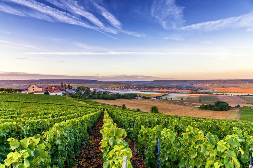 Champagner Radurlaub