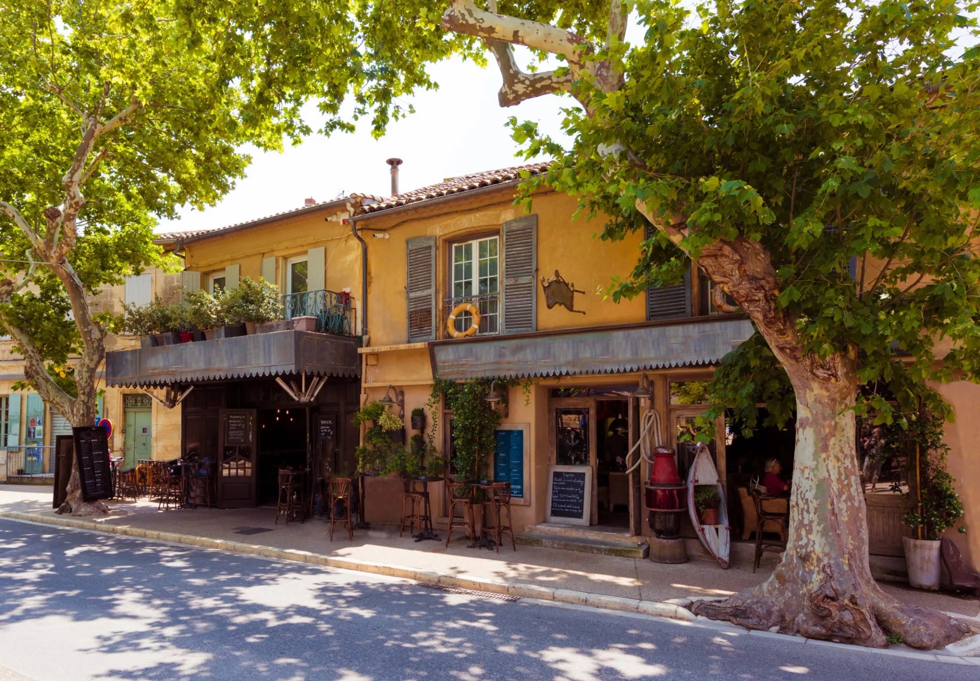 Cafe with outdoor seating under large plane trees on a sunny street in Maussane-les-Alpilles.