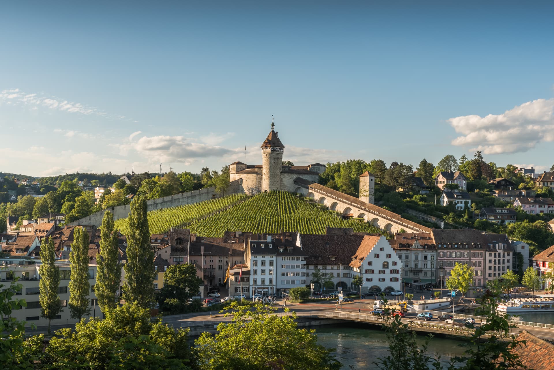 Schaffhausen with Munot fortress overlooking vineyards, river, and historic town buildings.