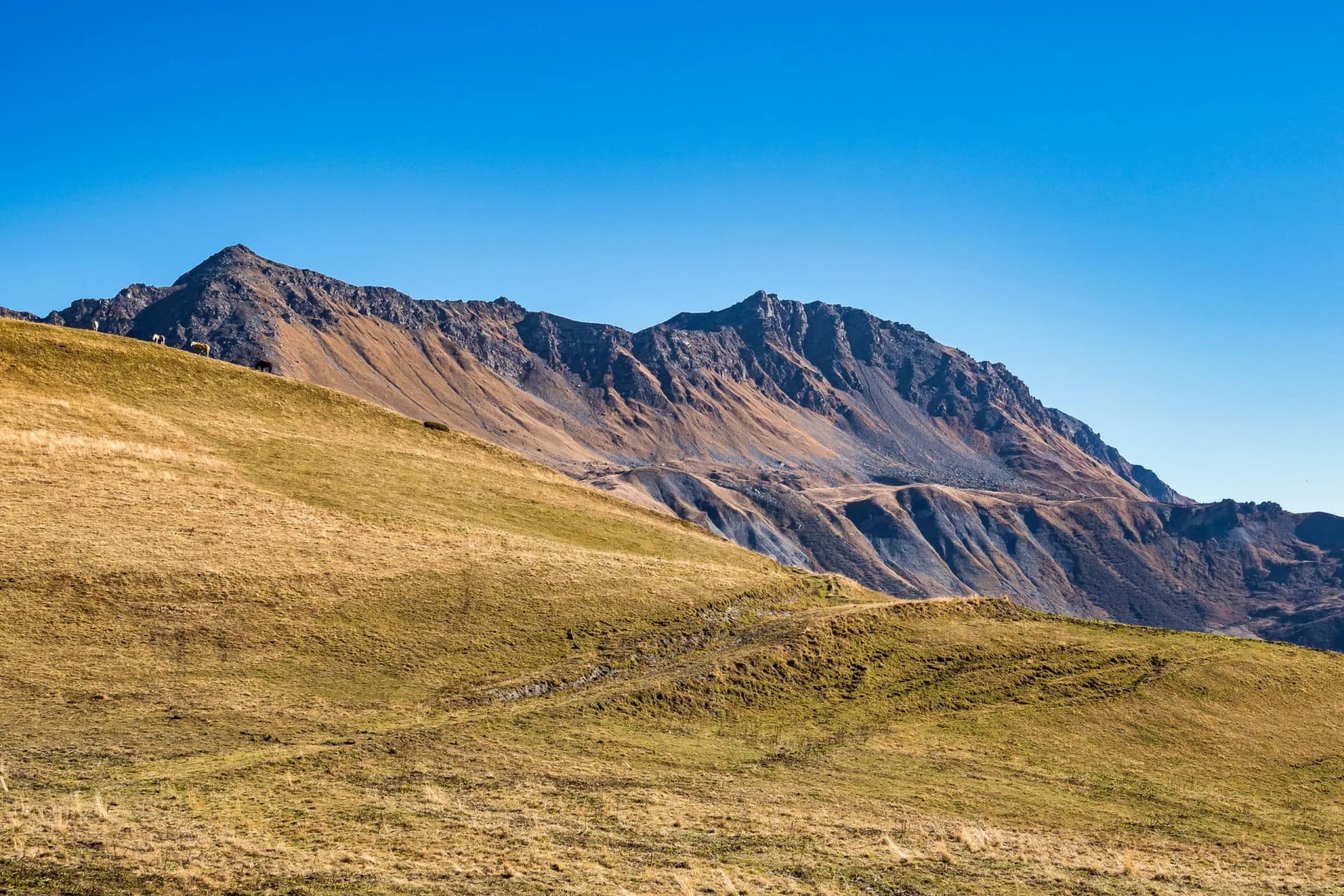 Alpine meadow with grazing animals below rugged mountains under a clear blue sky at Col de la Madeleine.