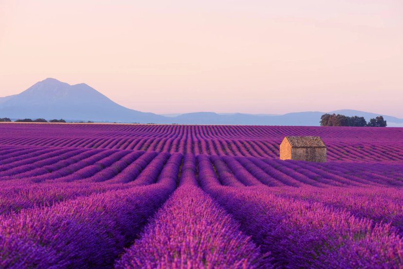 Provence Fietstocht