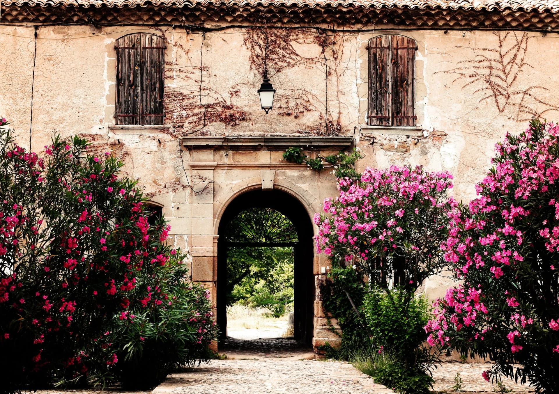 Provencal country house entrance with pink oleander bushes and stone archway