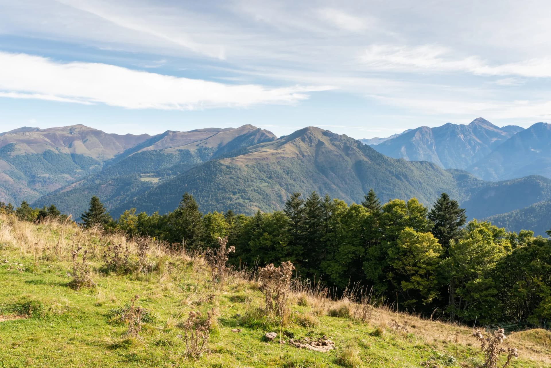 Mountain view from Superbagnères station in the High Pyrenees with grassy slope and forest.