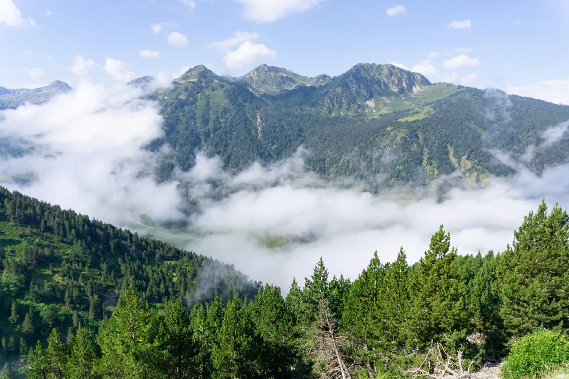 Mountains and dense forests of the Catalan Pyrenees above a valley filled with low-hanging clouds.