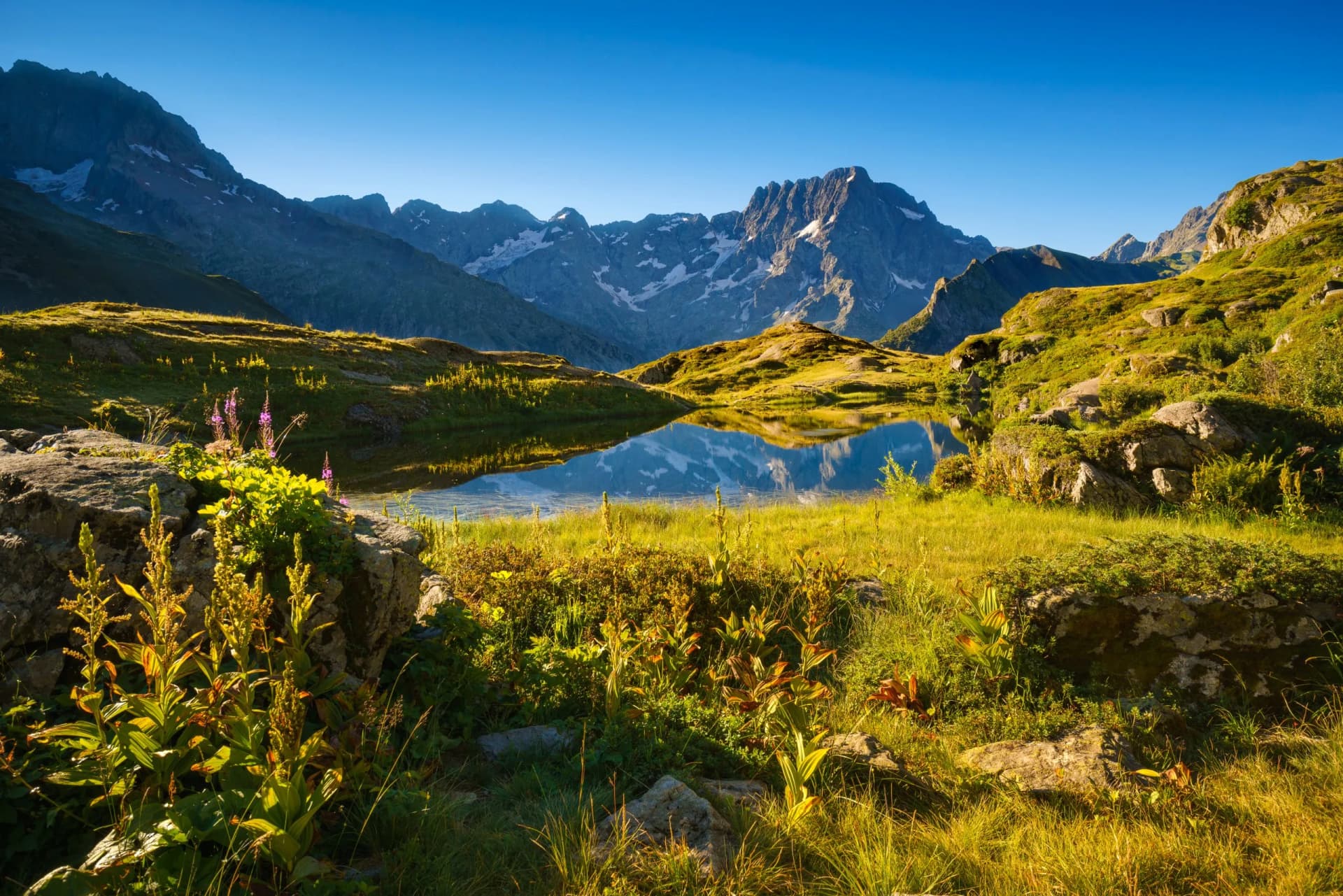 Alpine lake reflecting snow-capped Sirac mountain peak in Ecrins National Park, Hautes-Alpes, France.