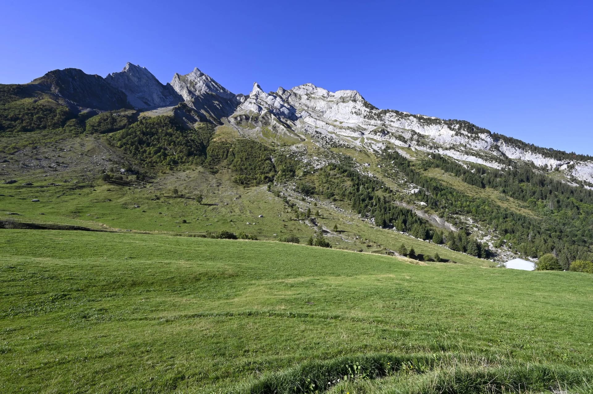 Green mountain meadow in summer below rocky peaks under a clear blue sky