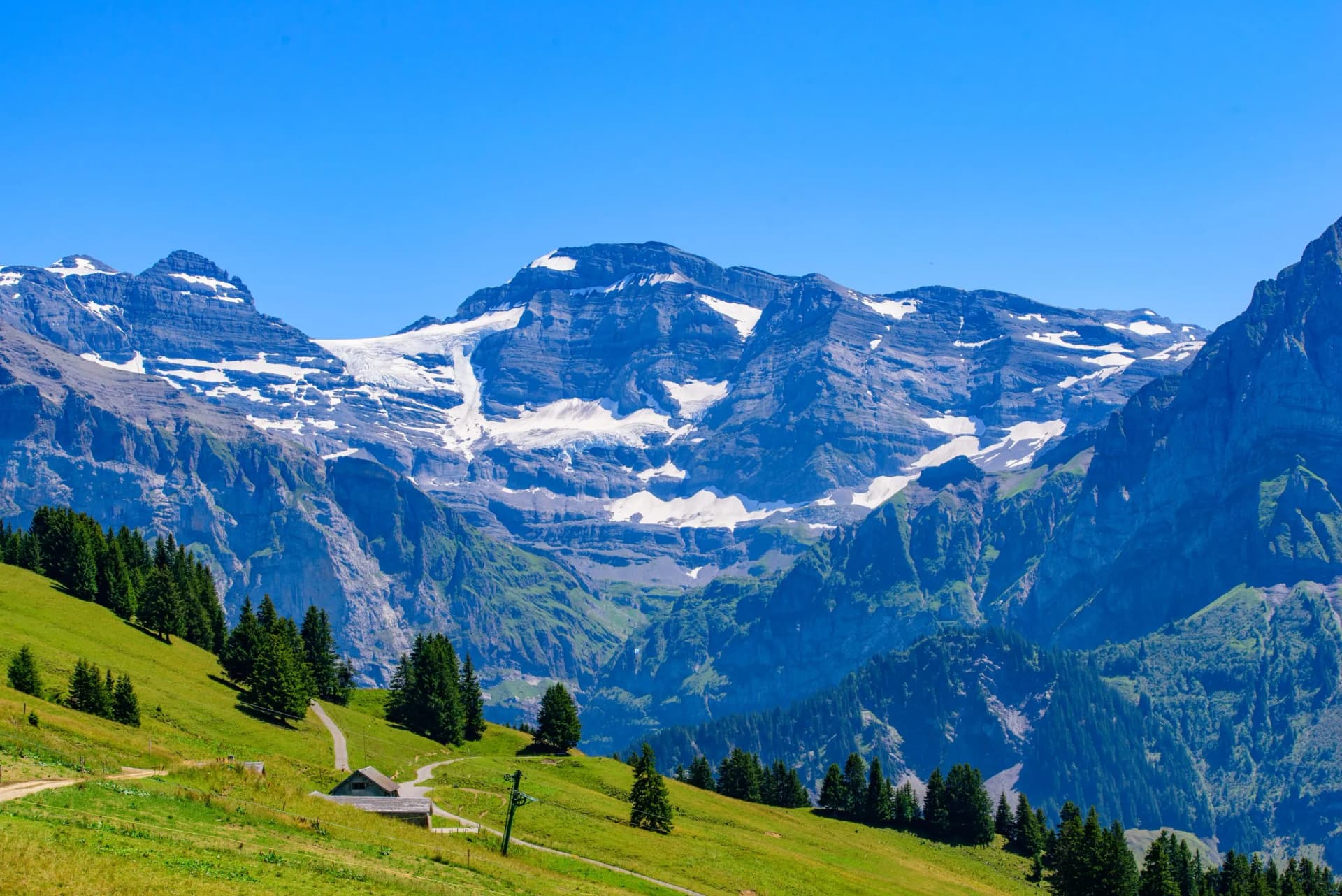 Alpine mountains with glaciers, green summer meadows, and pine trees in Portes du Soleil, Switzerland.