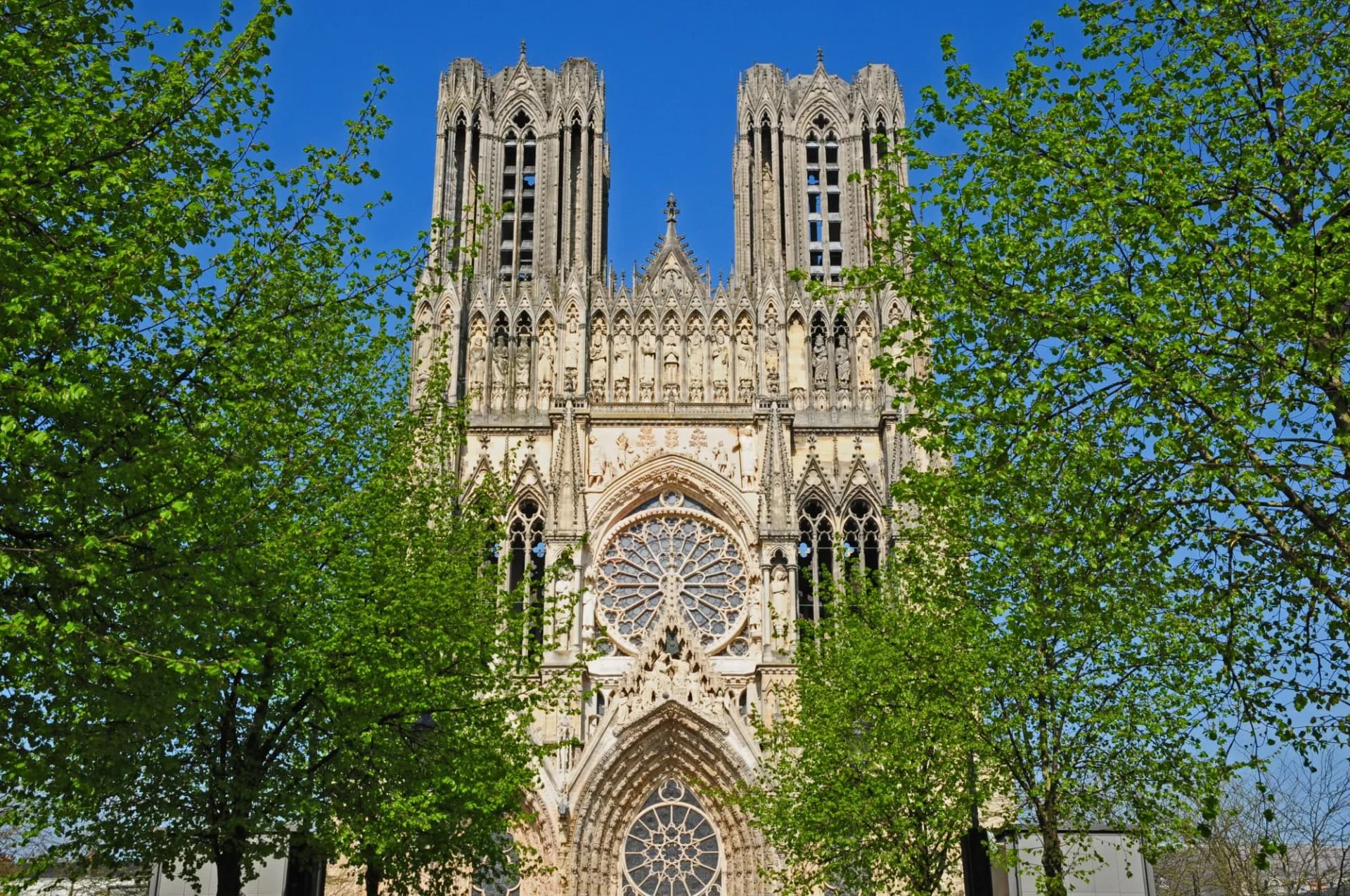 Notre-Dame de Reims Cathedral facade framed by bright green spring trees against blue sky.