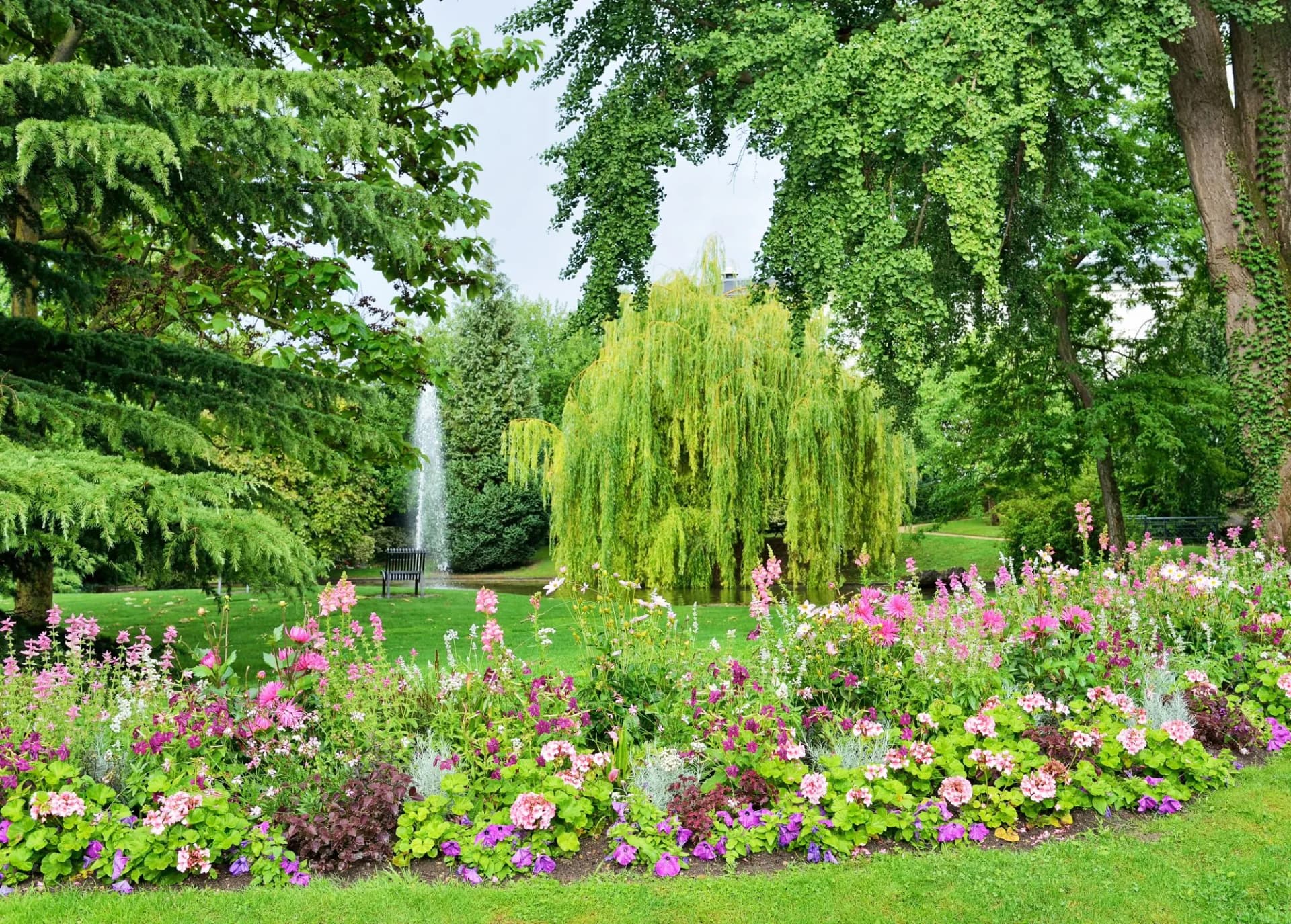 Flower bed in City garden in Epernay with fountain and weeping willow tree.