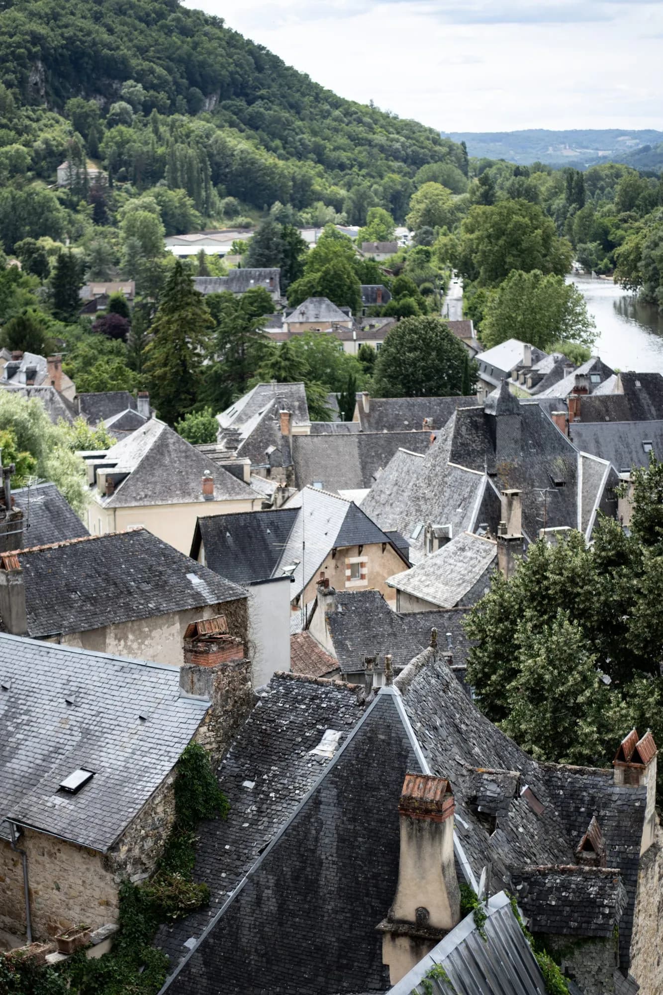 Rooftops of a village with slate tiles nestled against a heavily forested hillside and river.