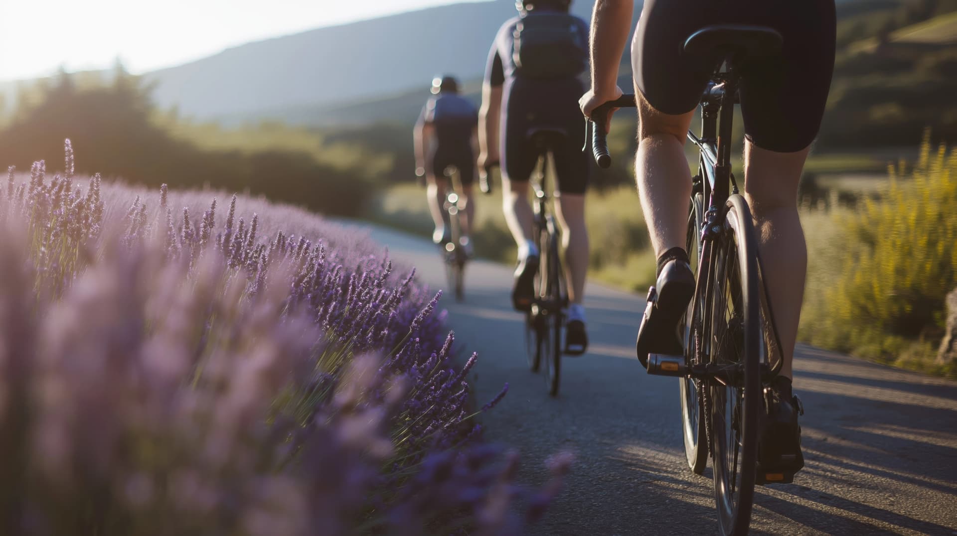 Cyclists explore vibrant lavender fields in Provence during a scenic tour through Europes picturesque countryside