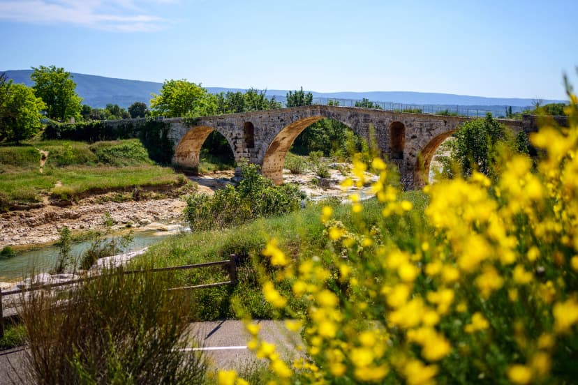 Ancien pont romain en Provence - Pont Julien. Rivière Calavon. Printemps, fleurs de genêt au premier plan. France, Luberon.