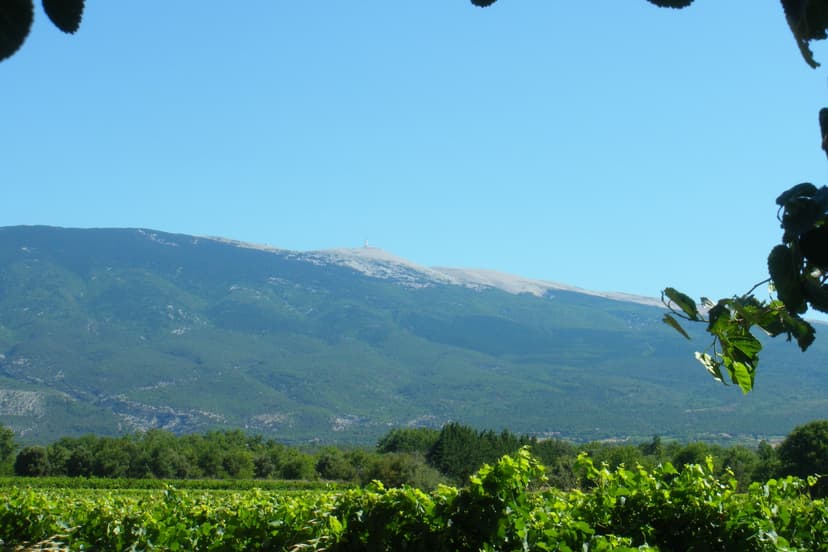 Mont Ventoux view over vineyards in Bedoin with clear blue sky