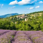 Blomstrende lavendelmarker og landsbyen Aurel i baggrunden i Vaucluse, Provence-Alpes-Cote d'Azur, Frankrig