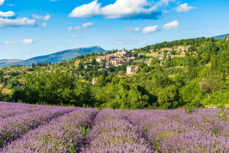Blühende Lavendelfelder und das Dorf Aurel im Hintergrund in Vaucluse, Provence-Alpes-Cote d'Azur, Frankreich
