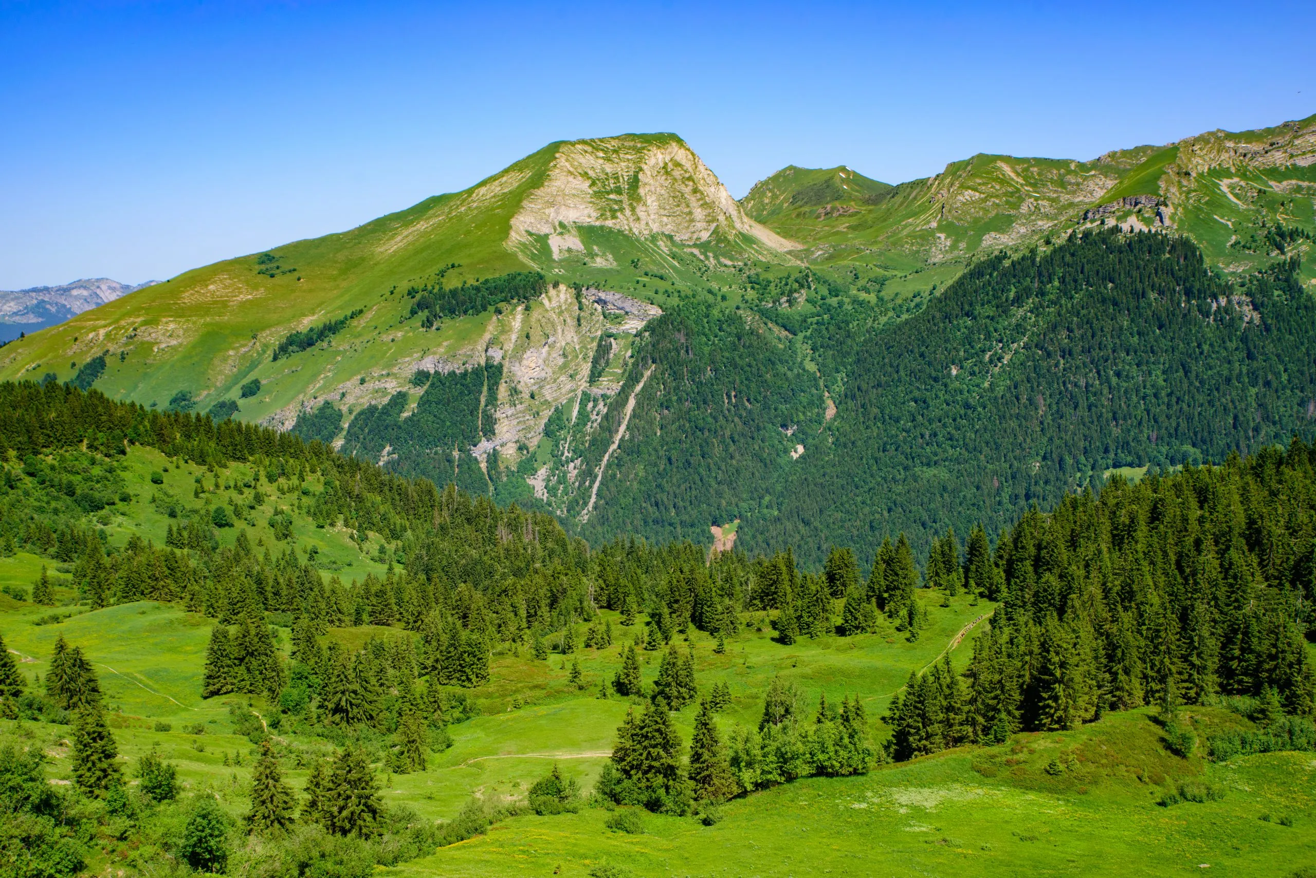 Landscape of mountains of Alps in summer with trees in Portes du Soleil,  France, Europe