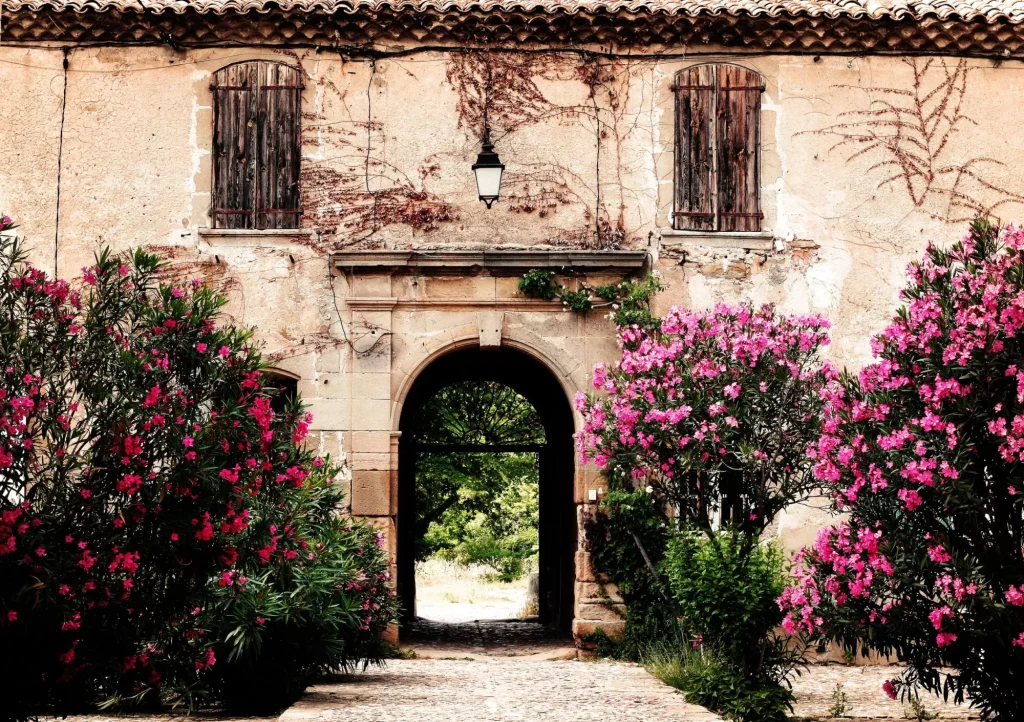 typical provencal country house surrounded by 