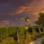 Vindmølle i La Tranchee og vinmark nær Montsoreau, Pays de la Loire, Frankrig